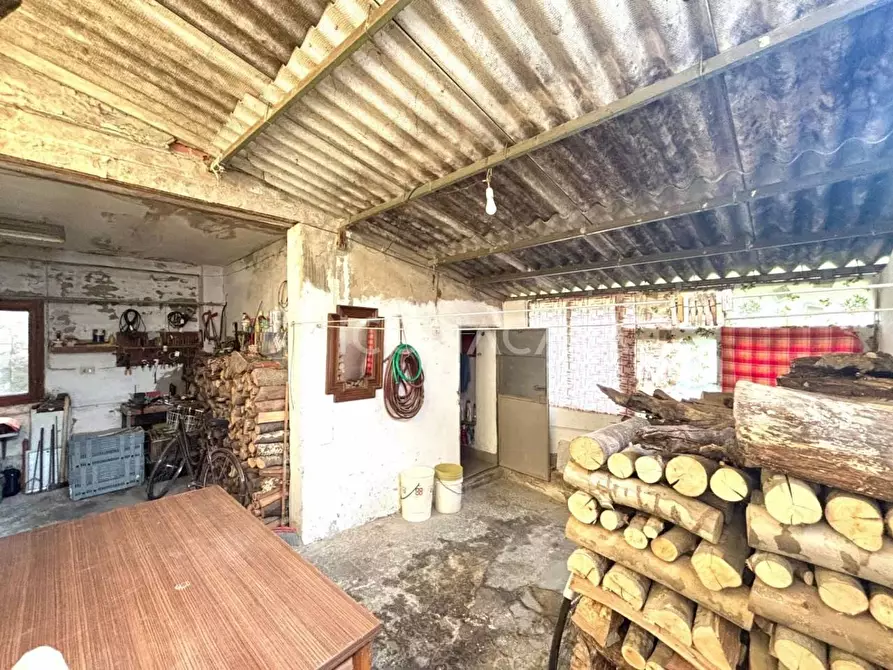 Immagine 18 di Terratetto in vendita  a Palaia