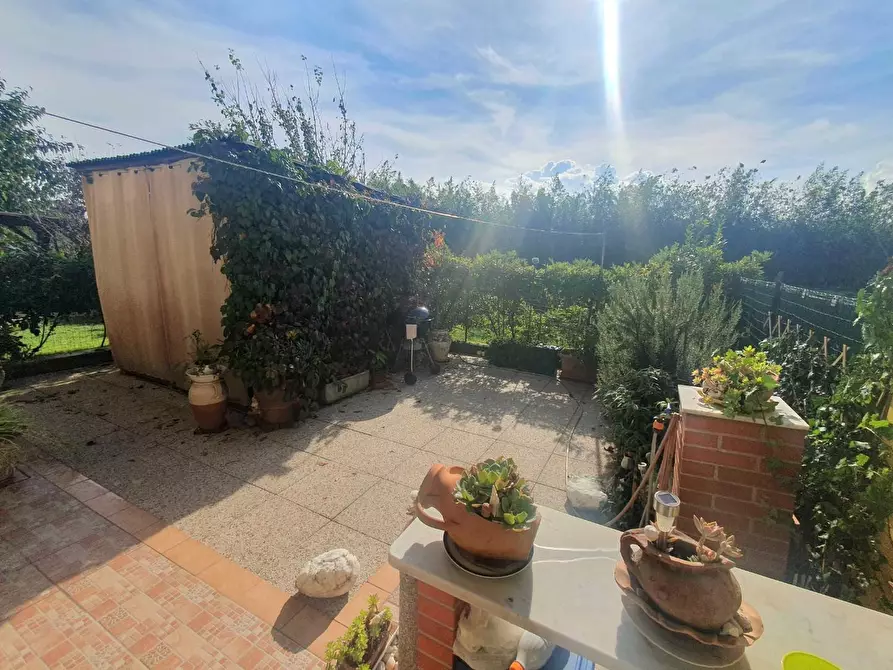 Immagine 13 di Appartamento in vendita  a Altopascio