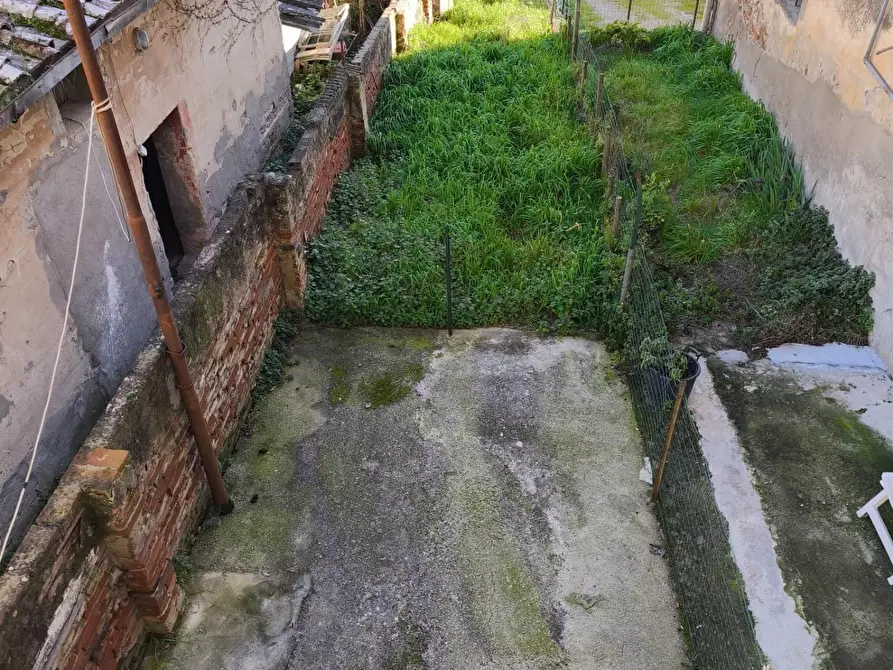 Immagine 6 di Appartamento in vendita  a Palaia