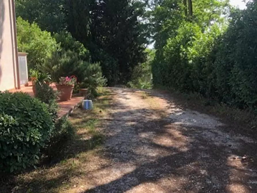 Immagine 41 di Appartamento in vendita  a Empoli