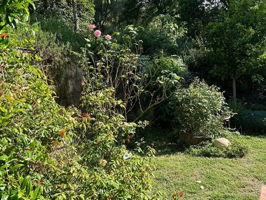 Immagine 22 di Appartamento in vendita  a Empoli