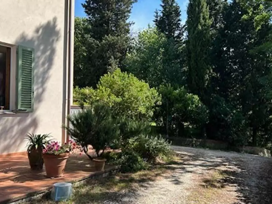 Immagine 3 di Appartamento in vendita  a Empoli