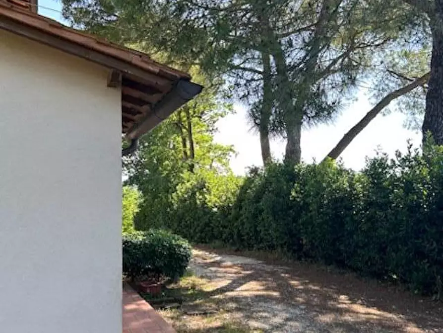 Immagine 2 di Appartamento in vendita  a Empoli