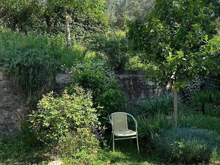 Immagine 20 di Appartamento in vendita  a Empoli