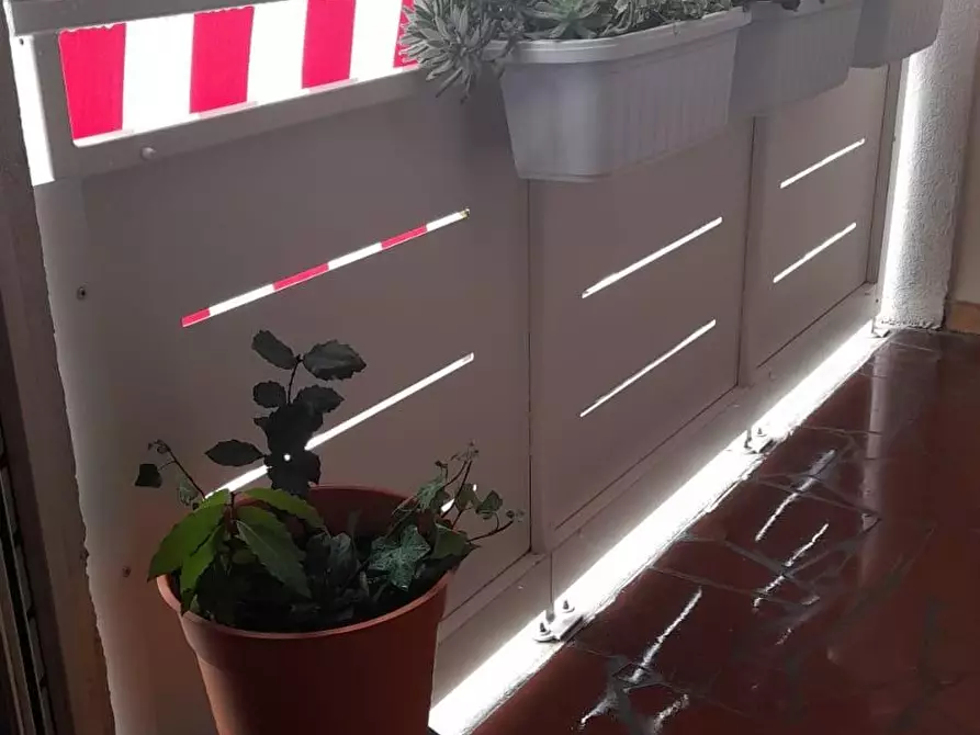 Immagine 32 di Appartamento in vendita  a Pontedera