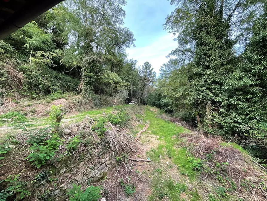 Immagine 7 di Casa indipendente in vendita  a Capannori