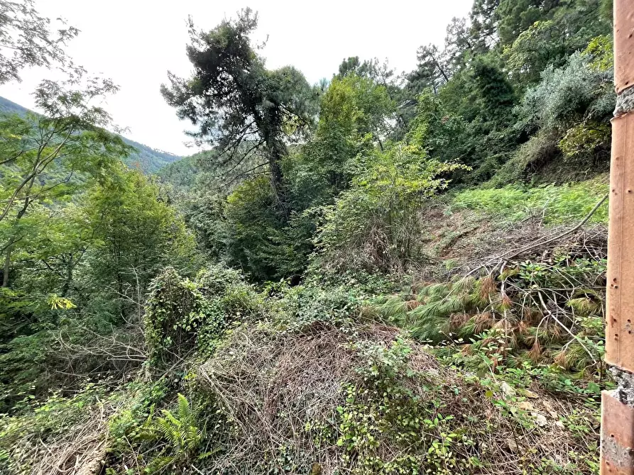 Immagine 8 di Casa indipendente in vendita  a Capannori