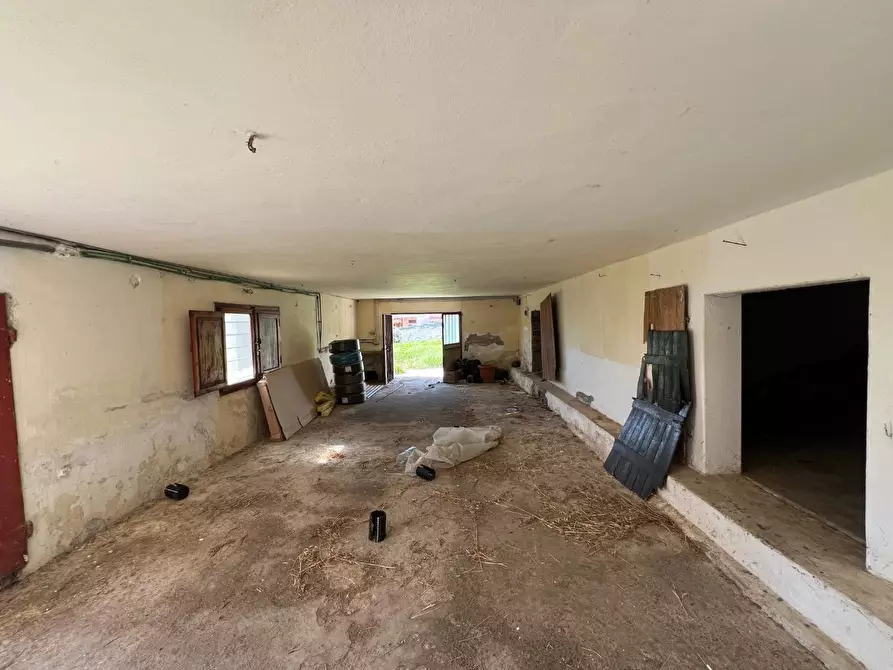 Immagine 19 di Villa in vendita  a Buti