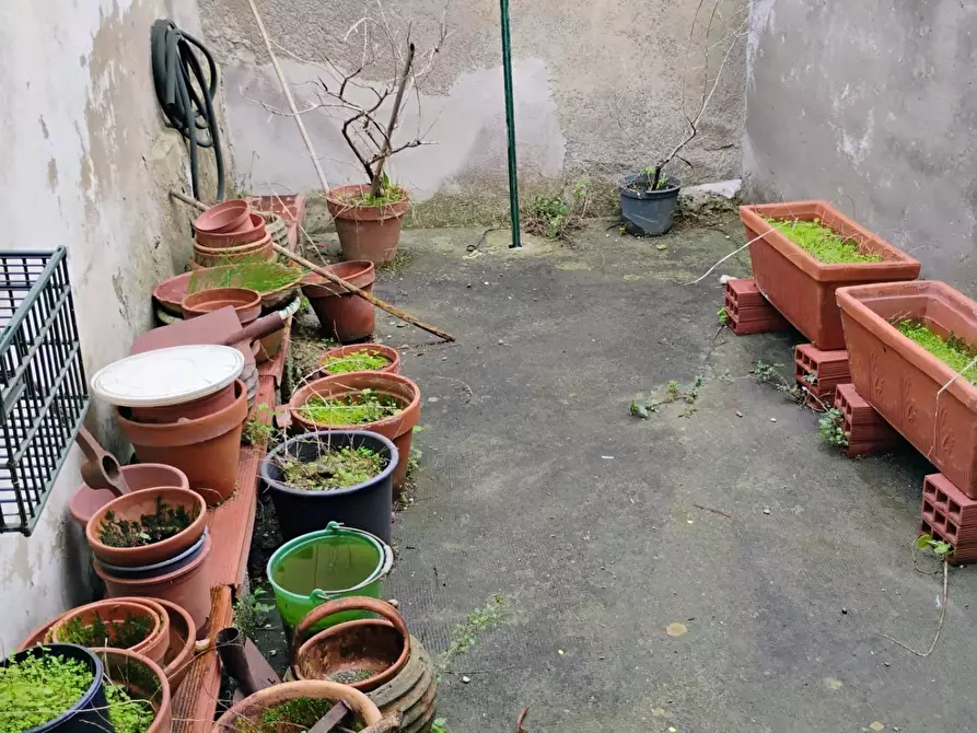 Immagine 2 di Terratetto in vendita  a Fauglia