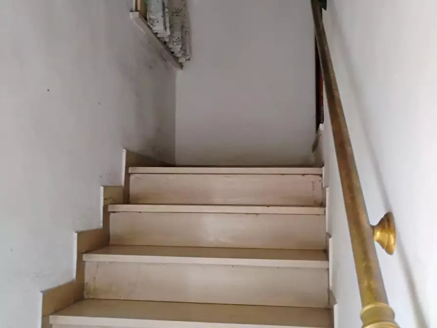 Immagine 6 di Terratetto in vendita  a Fauglia