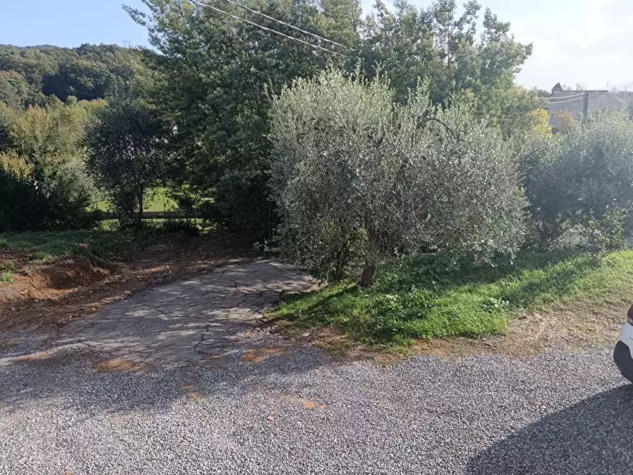 Immagine 4 di Appartamento in vendita  a Capannori