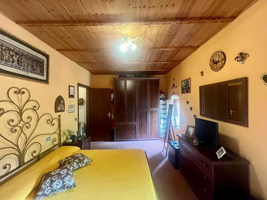 Immagine 12 di Terratetto in vendita  a Crespina Lorenzana