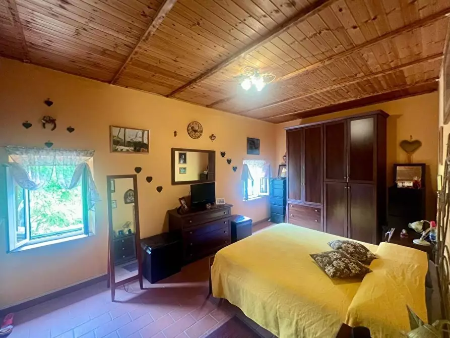 Immagine 13 di Terratetto in vendita  a Crespina Lorenzana