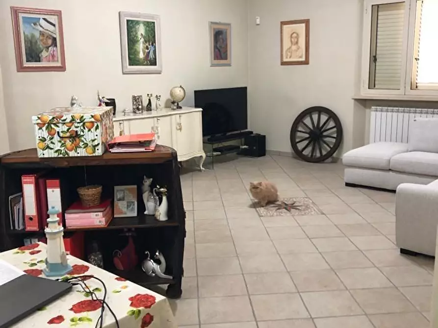 Immagine 17 di Villetta a schiera in vendita  a Camaiore