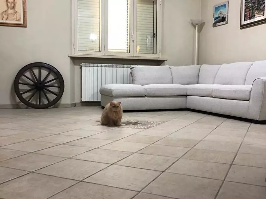 Immagine 38 di Villetta a schiera in vendita  a Camaiore