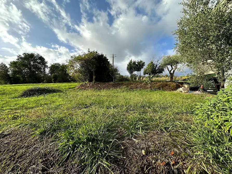 Immagine 21 di Appartamento in vendita  a Capannori