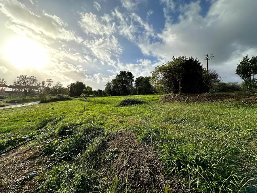 Immagine 22 di Appartamento in vendita  a Capannori