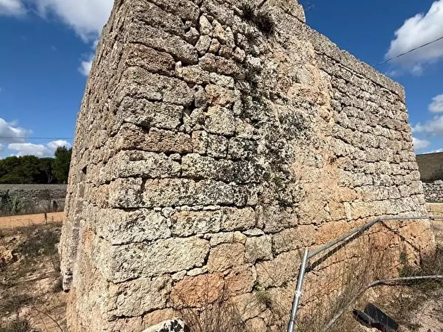 Immagine 10 di Terreno agricolo in vendita  a Alessano