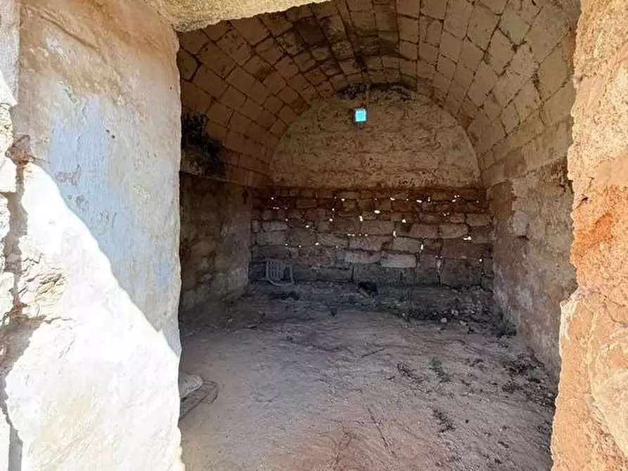 Immagine 9 di Terreno agricolo in vendita  a Alessano