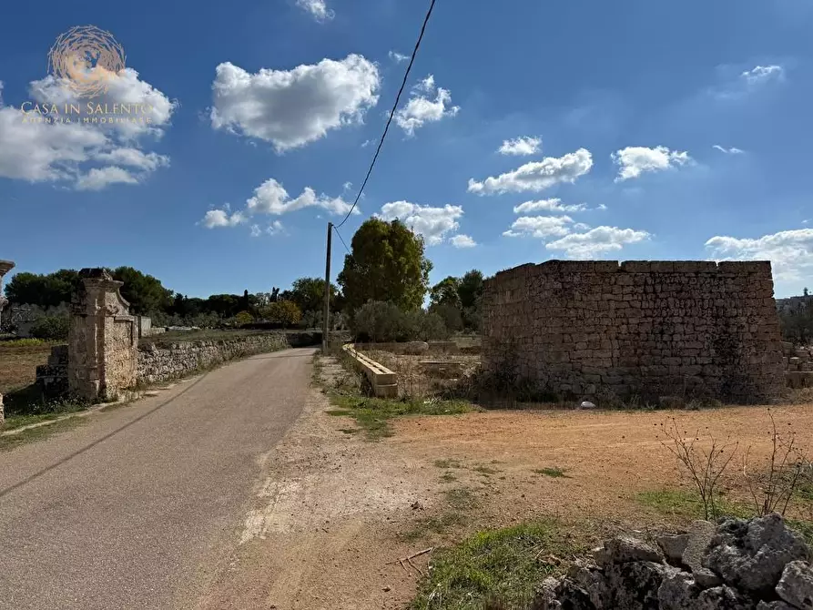 Immagine 3 di Terreno agricolo in vendita  a Alessano