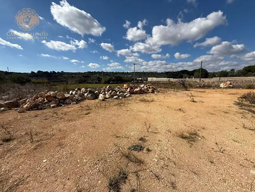 Immagine 17 di Terreno agricolo in vendita  a Alessano