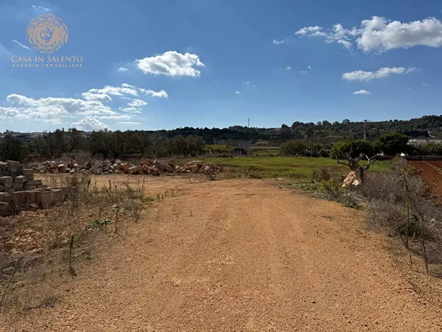 Immagine 4 di Terreno agricolo in vendita  a Alessano