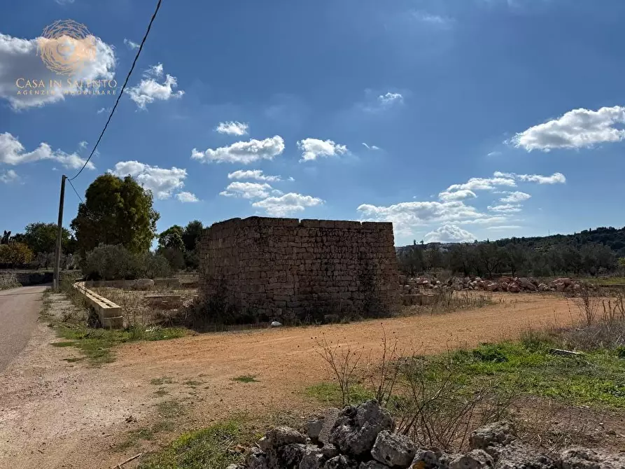 Immagine 2 di Terreno agricolo in vendita  a Alessano