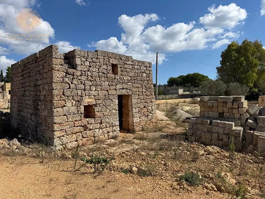 Immagine 5 di Terreno agricolo in vendita  a Alessano
