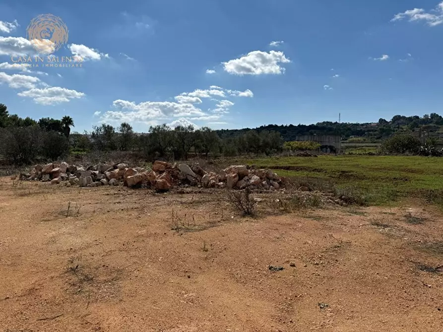 Immagine 6 di Terreno agricolo in vendita  a Alessano