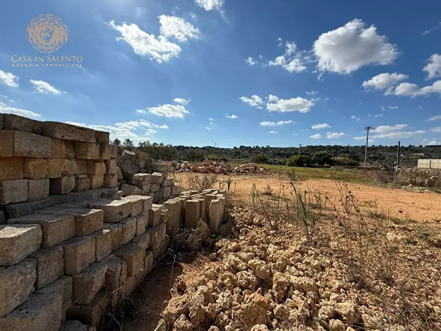 Immagine 8 di Terreno agricolo in vendita  a Alessano