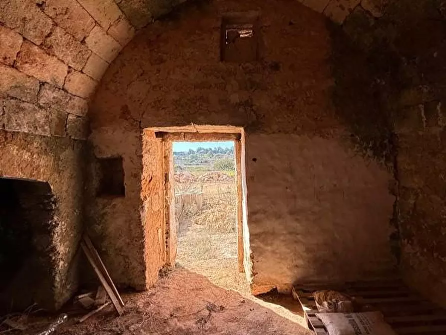 Immagine 13 di Terreno agricolo in vendita  a Alessano