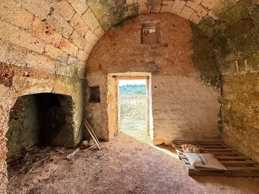 Immagine 14 di Terreno agricolo in vendita  a Alessano