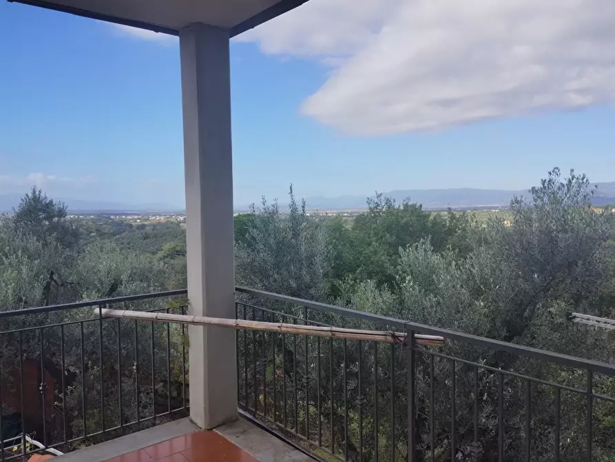 Immagine 8 di Terratetto in vendita  a Vinci