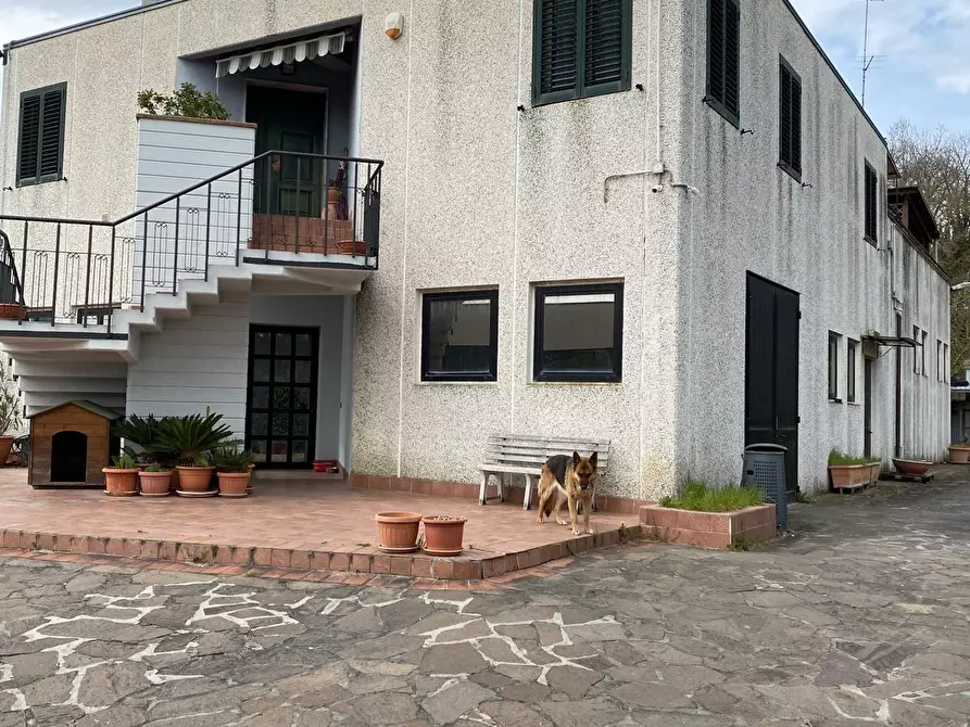 Immagine 2 di Attività artigianale in affitto  a Colle Di Val D'elsa