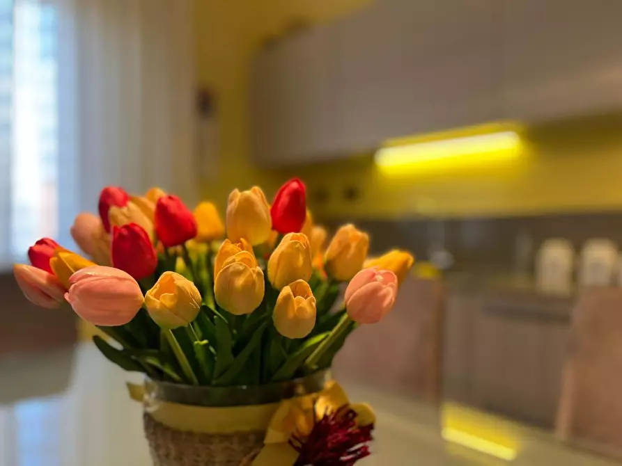 Immagine 7 di Appartamento in vendita  a Empoli