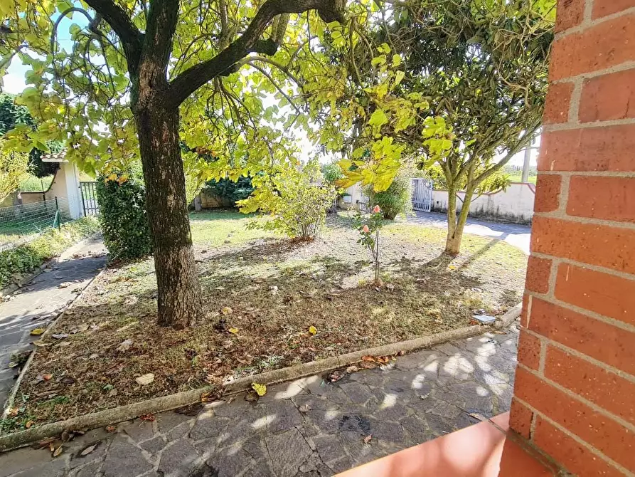 Immagine 4 di Appartamento in vendita  a Fucecchio