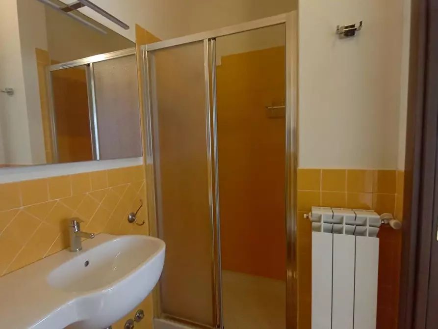 Immagine 41 di Casa trifamiliare in vendita  a Camaiore