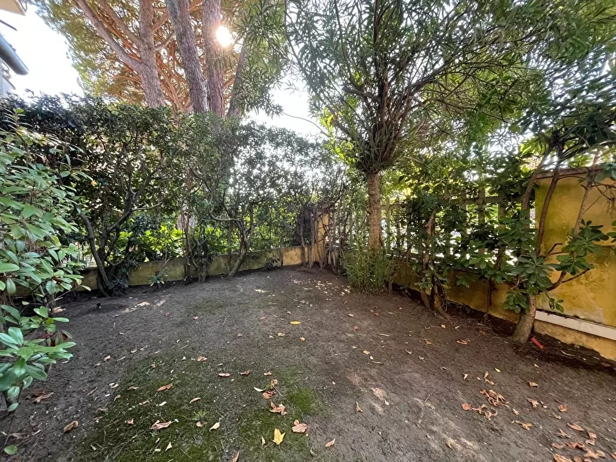 Immagine 27 di Casa trifamiliare in vendita  a Camaiore