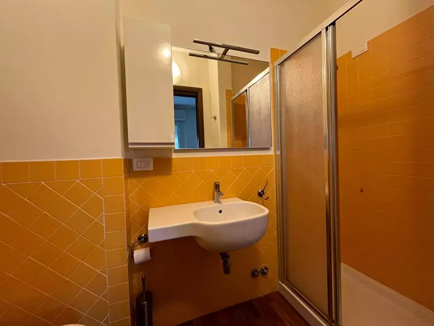 Immagine 43 di Casa trifamiliare in vendita  a Camaiore