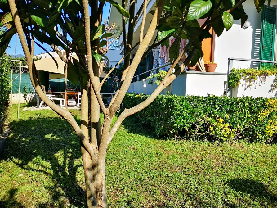 Immagine 28 di Appartamento in vendita  a Massa