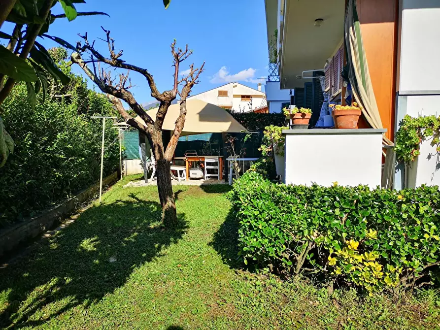 Immagine 1 di Appartamento in vendita  a Massa