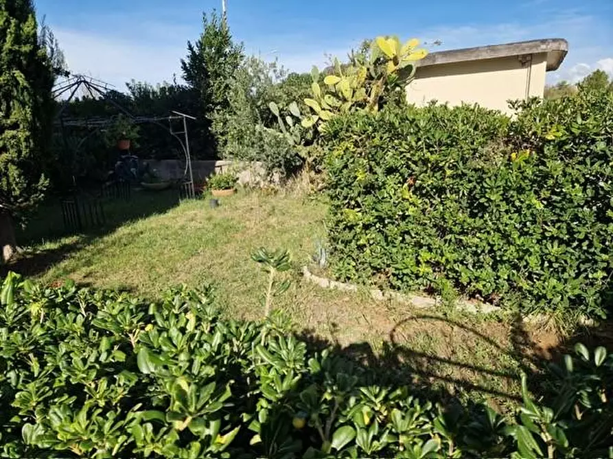 Immagine 3 di Appartamento in vendita  a Rosignano Marittimo