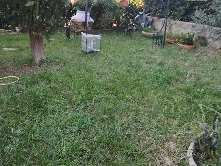 Immagine 8 di Appartamento in vendita  a Rosignano Marittimo