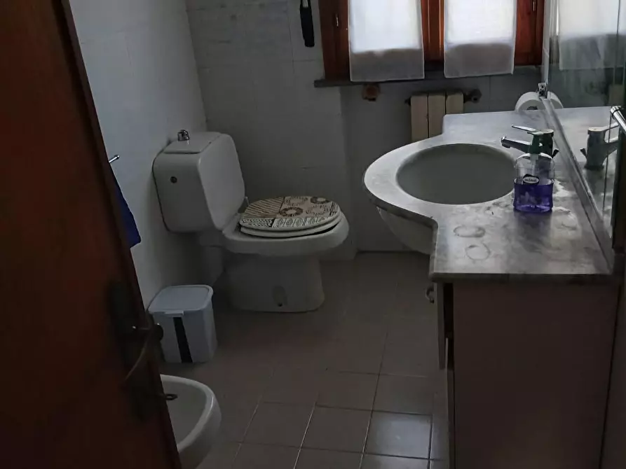 Immagine 7 di Appartamento in vendita  a Rosignano Marittimo