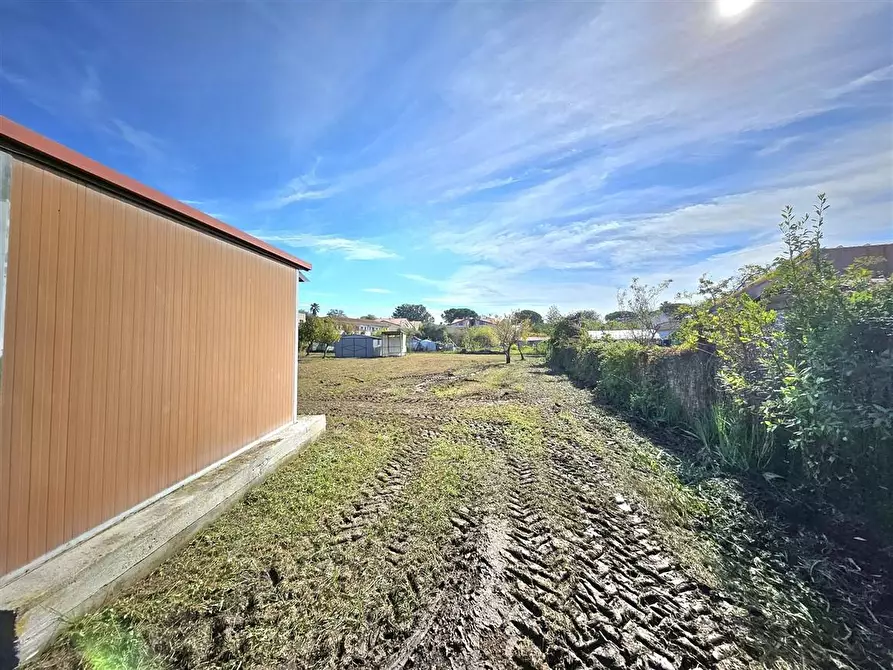 Immagine 8 di Terreno agricolo in vendita  a Massa