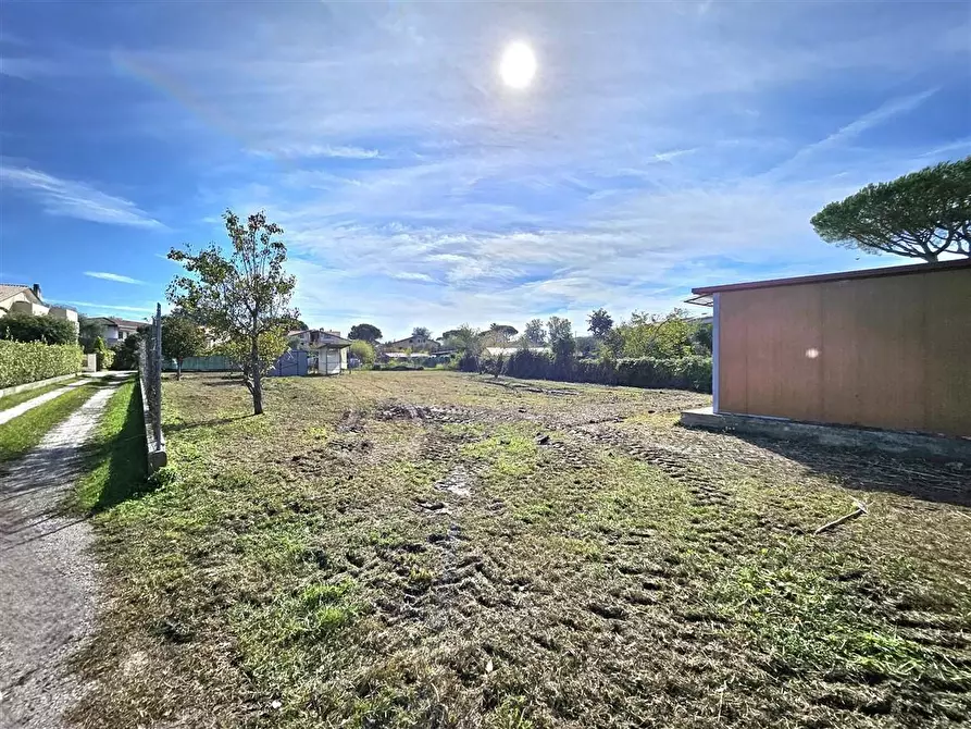 Immagine 5 di Terreno agricolo in vendita  a Massa
