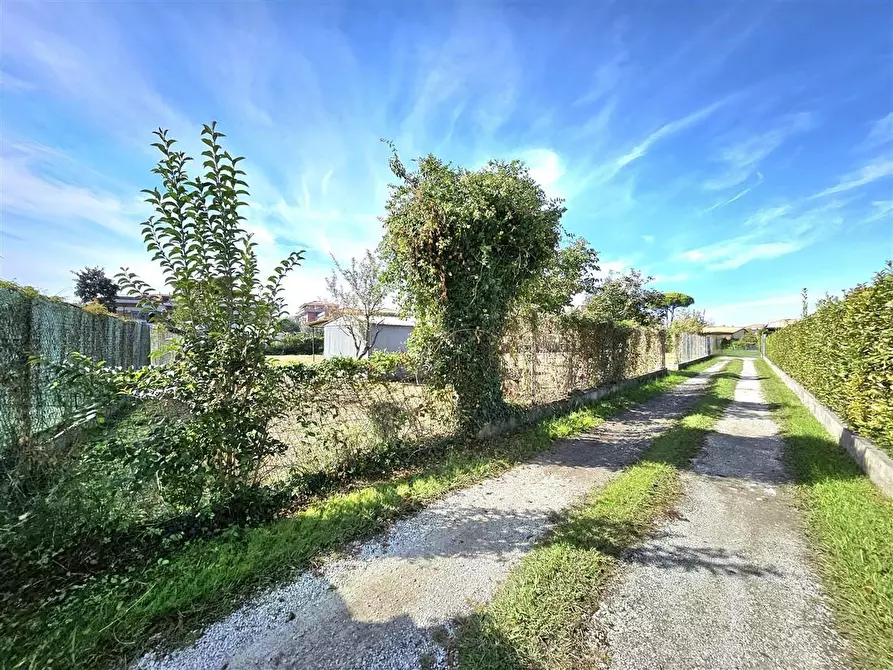 Immagine 18 di Terreno agricolo in vendita  a Massa