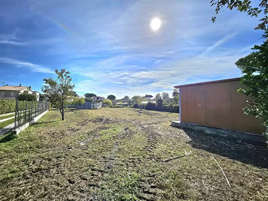 Immagine 11 di Terreno agricolo in vendita  a Massa