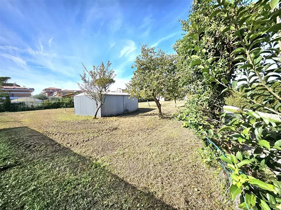 Immagine 14 di Terreno agricolo in vendita  a Massa