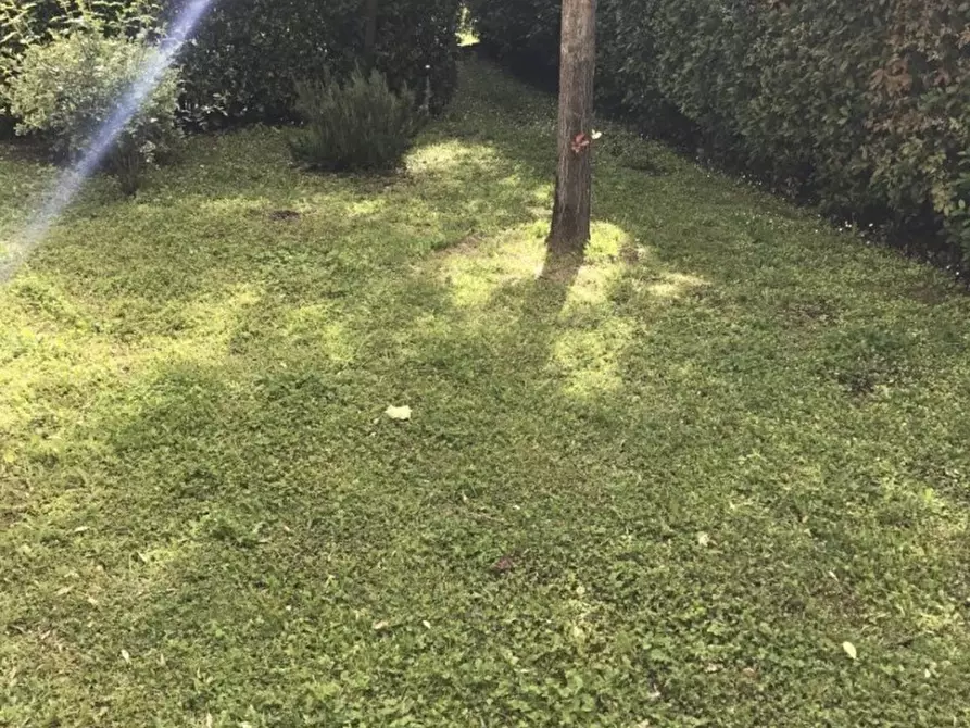 Immagine 13 di Villa in vendita  a Crespina Lorenzana